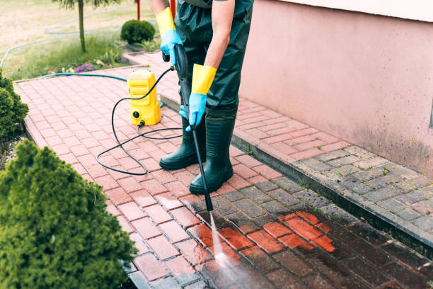 Best Driveway Cleaning and Restoration in Dexter, GA