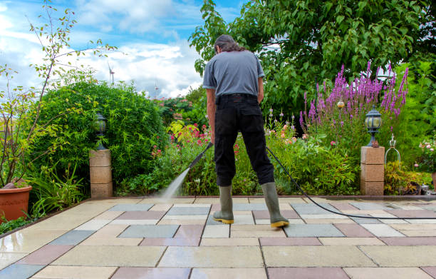Best Brick and Stone Cleaning in Dexter, GA